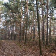 Dzialka  na sprzedaż Dąbrowa Tarnowska (gw), Gruszów Wielki, 44700.00m², oferta LOK-GS-1467