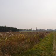 Dzialka  na sprzedaż Dąbrowa Tarnowska (gw), Gruszów Wielki, 44700.00m², oferta LOK-GS-1467