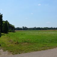 Dzialka  na sprzedaż Szczucin (gw), Radwan, 816.00m², oferta LOK-GS-1698