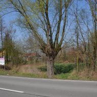 Dzialka  na sprzedaż Szczucin (gw), Borki, 4300.00m², oferta LOK-GS-1724