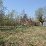 Dzialka  na sprzedaż Szczucin (gw), Borki, 4300.00m², oferta LOK-GS-1724
