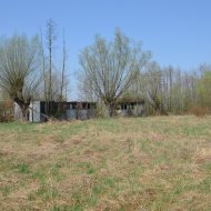 Dzialka  na sprzedaż Szczucin (gw), Borki, 4300.00m², oferta LOK-GS-1724