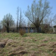 Dzialka  na sprzedaż Szczucin (gw), Borki, 4300.00m², oferta LOK-GS-1724
