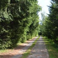Dom  na sprzedaż Dąbrowa Tarnowska, 7 pokoi, 330.00m², oferta LOK-DS-1788