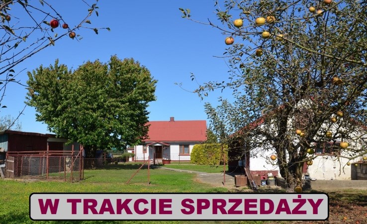 dom na sprzedaż - Szczucin (gw), Borki