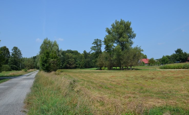 działka na sprzedaż - Radgoszcz