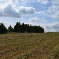 Dzialka  na sprzedaż Dąbrowa Tarnowska (gw), Morzychna, 2505.00m², oferta LOK-GS-1854