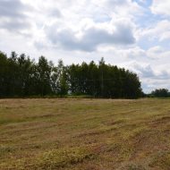 Dzialka  na sprzedaż Dąbrowa Tarnowska (gw), Morzychna, 2505.00m², oferta LOK-GS-1854