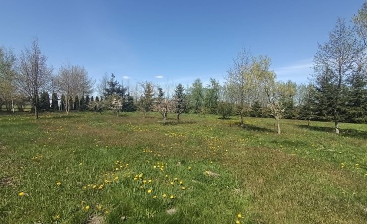 działka na sprzedaż - Olesno, Oleśnica
