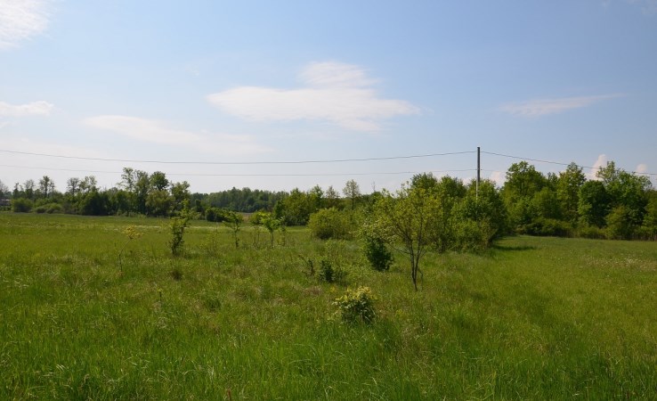 działka na sprzedaż - Dąbrowa Tarnowska, Ulinów