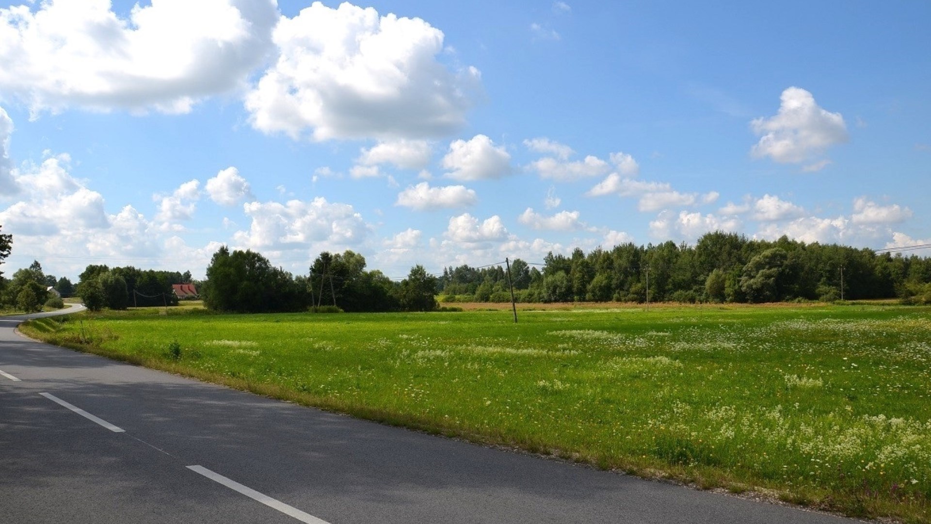 Dzialka  na sprzedaż Radgoszcz, Szczucińska, 1463.00m², oferta LOK-GS-1885