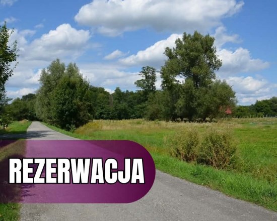 Dzialka  na sprzedaż Radgoszcz, 1100.00m², oferta LOK-GS-1892