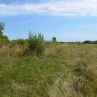 Dzialka  na sprzedaż Pacanów, Rataje Słupskie, 5500.00m², oferta LOK-GS-1899