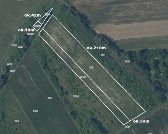 Dzialka  na sprzedaż Pacanów, Rataje Słupskie, 8000.00m², oferta LOK-GS-1900