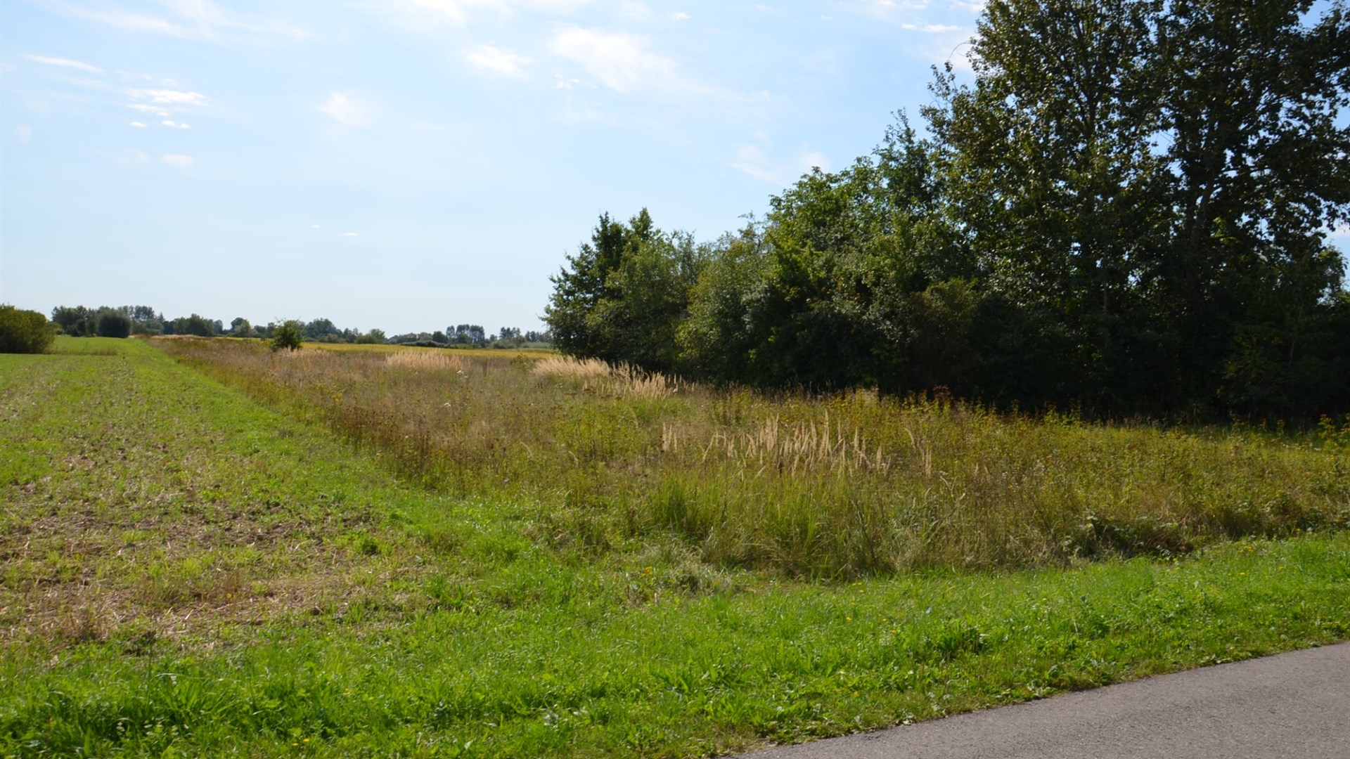 Dzialka  na sprzedaż Pacanów, Rataje Słupskie, 5700.00m², oferta LOK-GS-1902