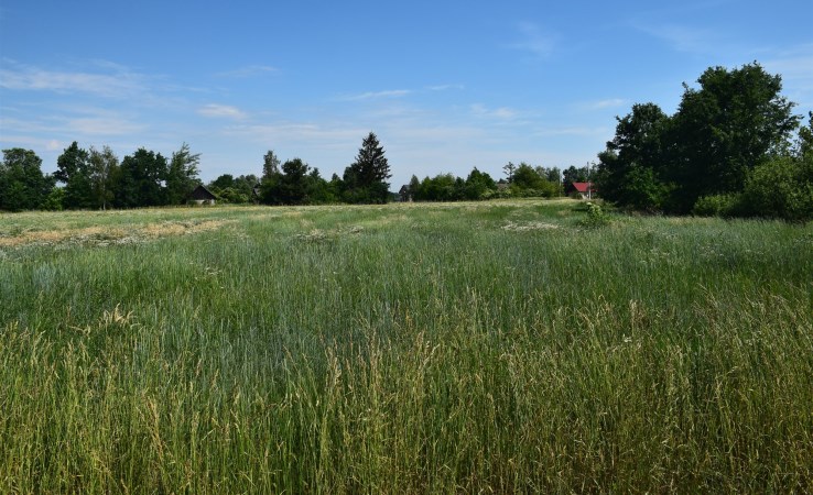 działka na sprzedaż - Szczucin (gw), Radwan