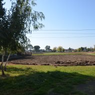 Dom  na sprzedaż Olesno, Zalipie, 2 pokoje, 90.00m², oferta LOK-DS-1913