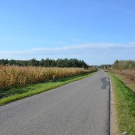 Dzialka  na sprzedaż Dąbrowa Tarnowska, Ulinów, Ulinów, 1266.00m², oferta LOK-GS-1920