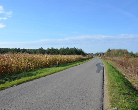 Dzialka  na sprzedaż Dąbrowa Tarnowska, Ulinów, Ulinów, 1266.00m², oferta LOK-GS-1920